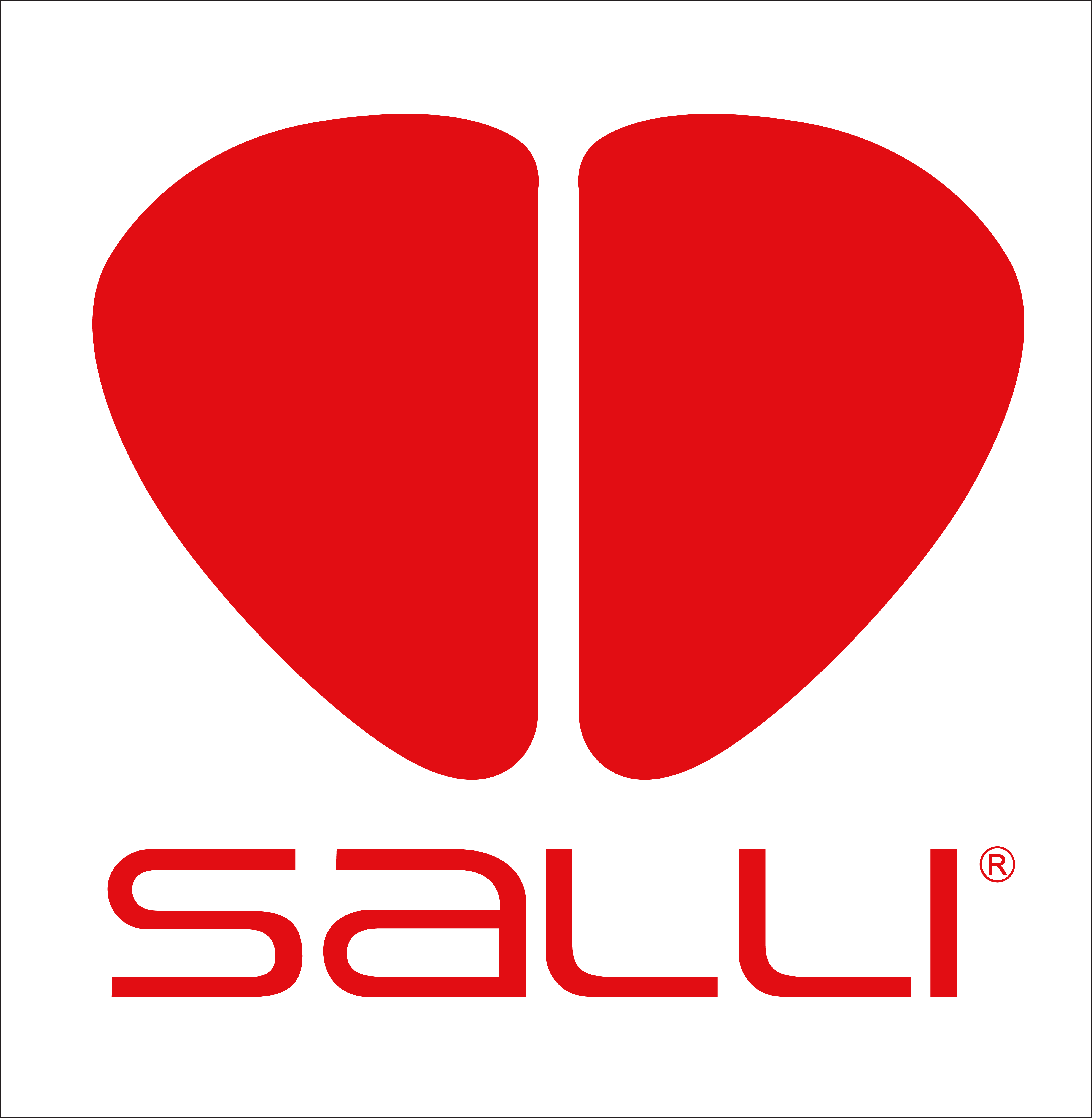 Salli logo square png white background