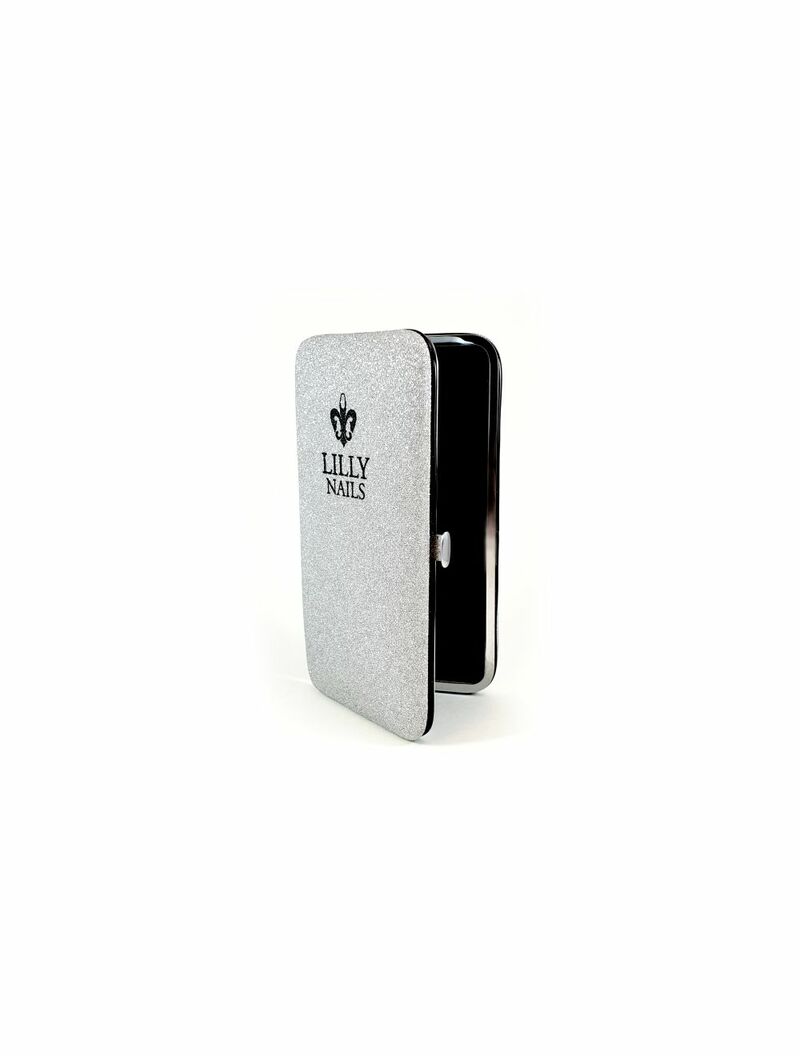 Tweezer Case Silver
