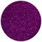 Glittermix Basic Holo Violet