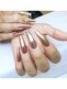 https://lillynails.eu/pub/media/catalog/product/cache/ab351c3408c39bcd8ad6b821655cbc6b/8/7/87400_rose_collection_1_1.jpg